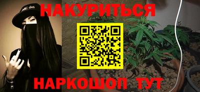стаф Кингисепп