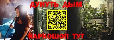стаф Кингисепп