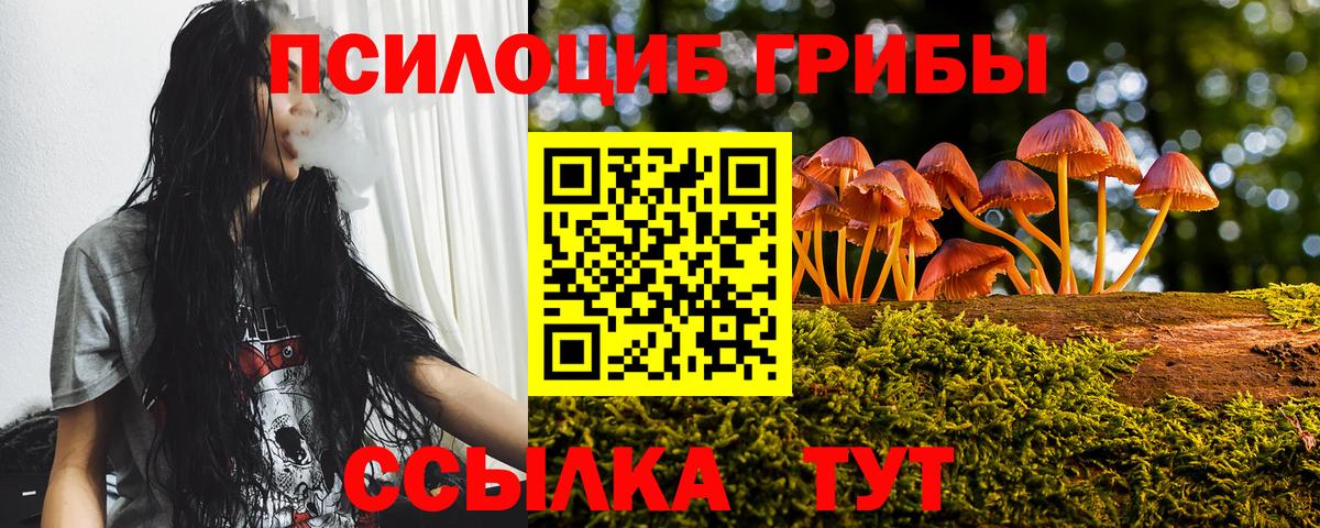 Псилоцибиновые грибы Magic Shrooms  Галлюциногенные грибы Magic Shrooms  Красноярск  где продают наркотики  Вход с VPN 